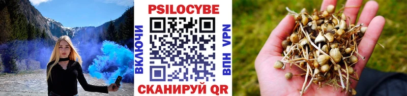 Псилоцибиновые грибы ЛСД  Купить где  Сенгилей 